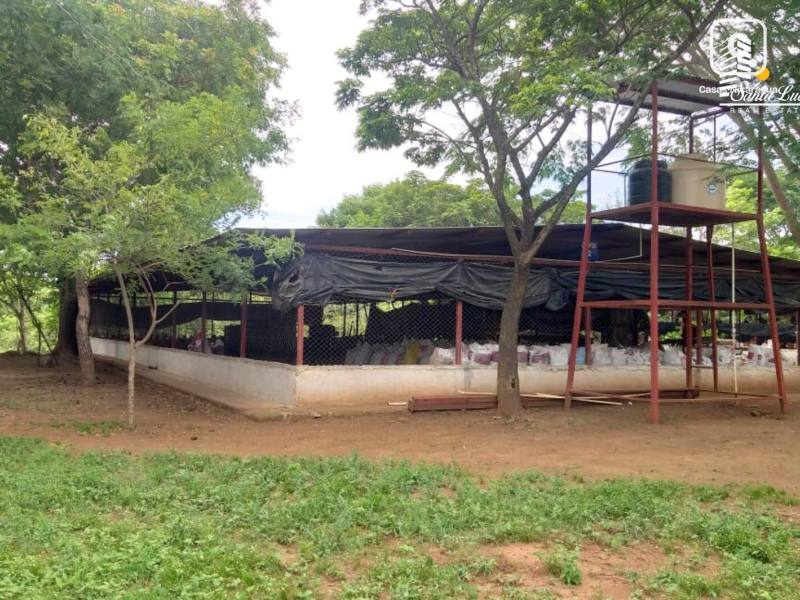 Local comercial en venta en Managua – 729 m²