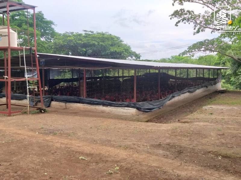 Local comercial en venta en Managua – 729 m²