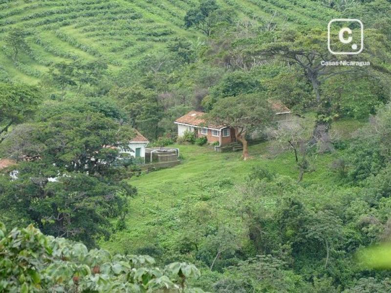 Farm for sale in Masaya – 1 bed, 120 m²