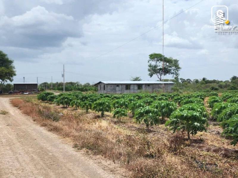 Local comercial en venta en Managua – 8,559,926 m²