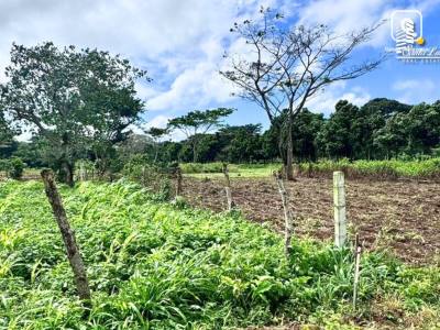 House for sale in Managua – 558 m²