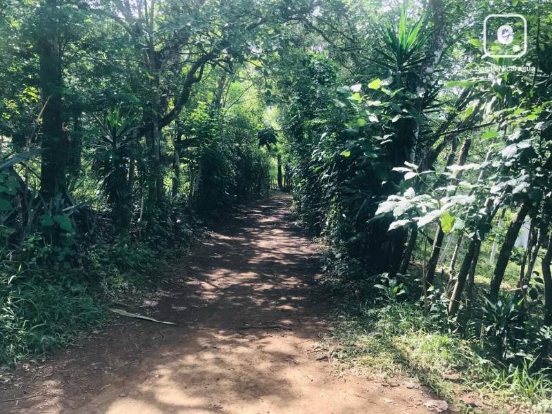 Casa en venta en Catarina, Masaya – 1 hab, 15,586 m²