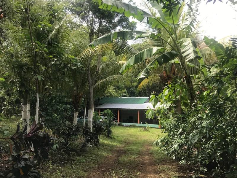 Casa en venta en Catarina, Masaya – 1 hab, 15,586 m²