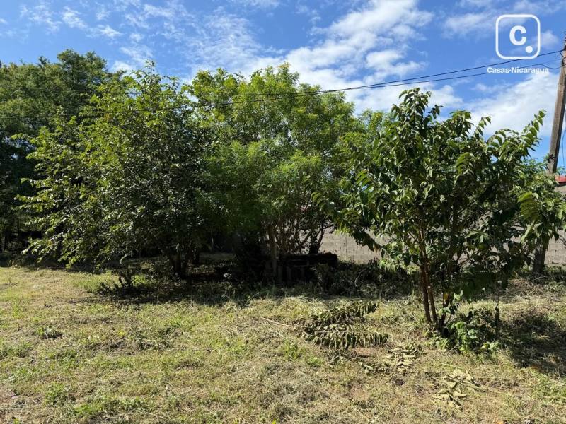 House for sale in Masaya – 6,987 m²