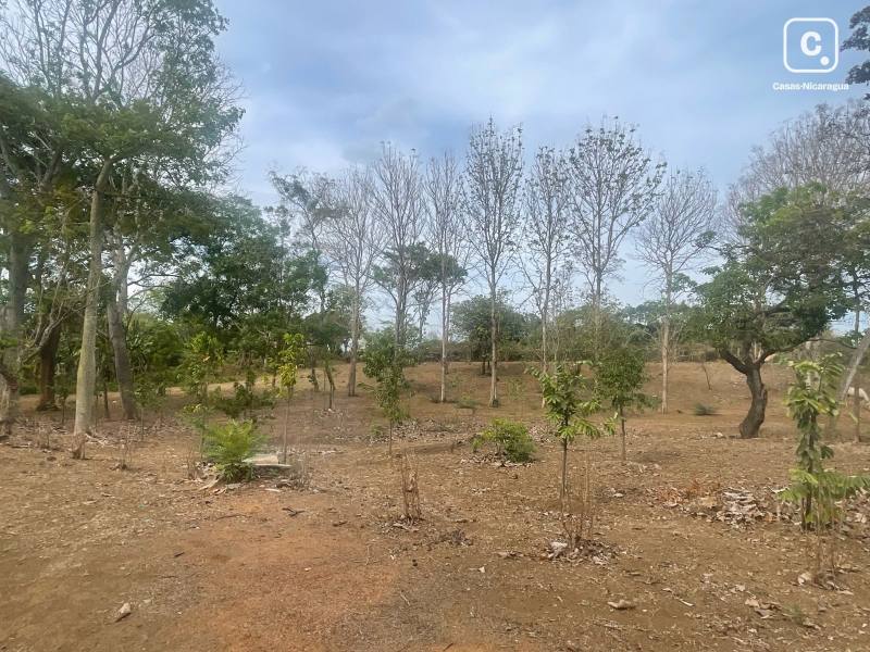 House for sale in Masaya – 29,162 m²