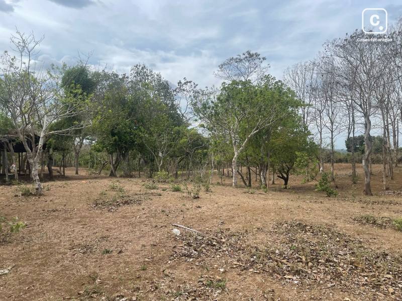 House for sale in Masaya – 29,162 m²