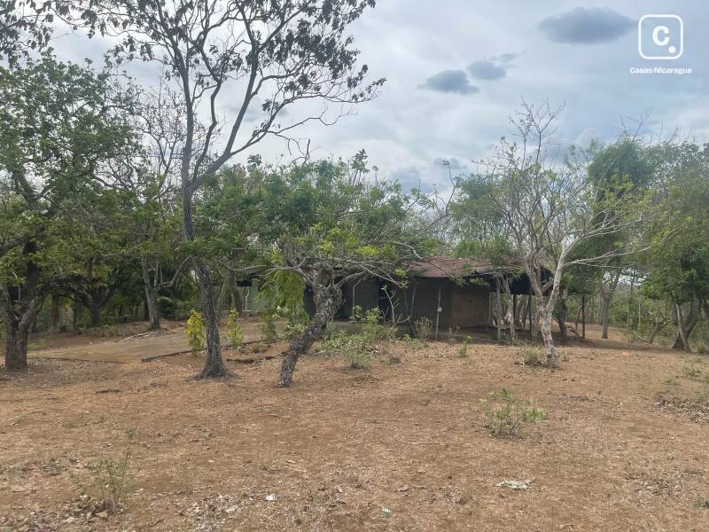 House for sale in Masaya – 29,162 m²