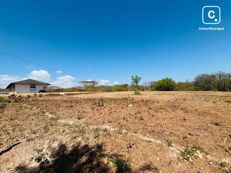 House for sale in Granada – 4,000 m²