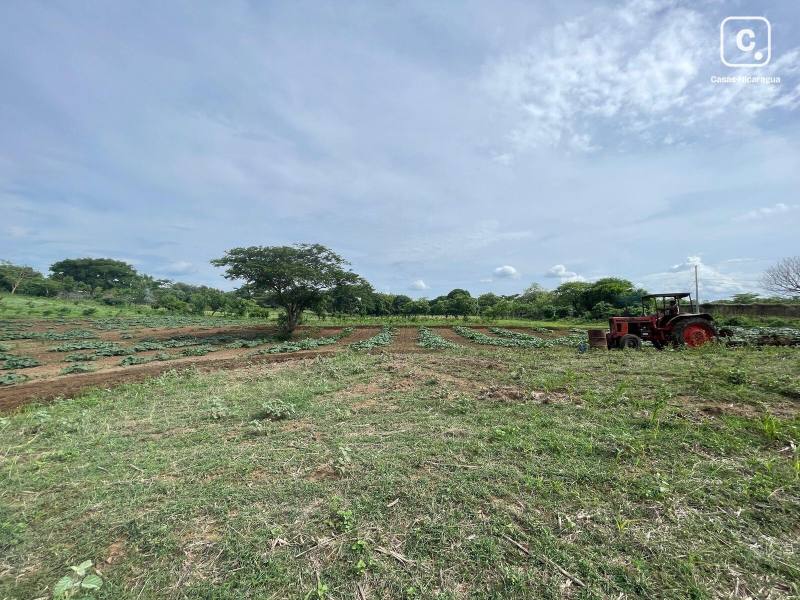 Warehouse for sale in Masaya – 17,403 m²