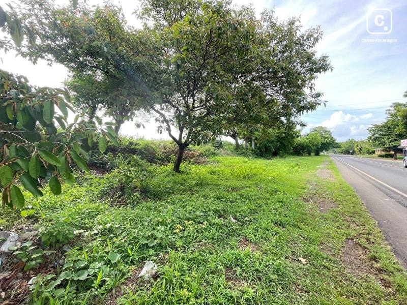 Bodega en venta en Masaya – 17,403 m²