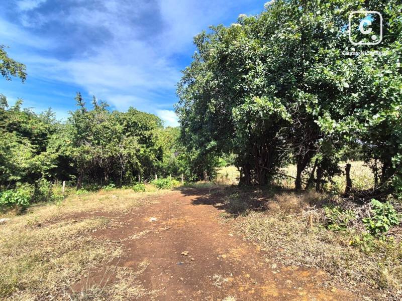 Farm for sale in Managua – 2,548,575 m²