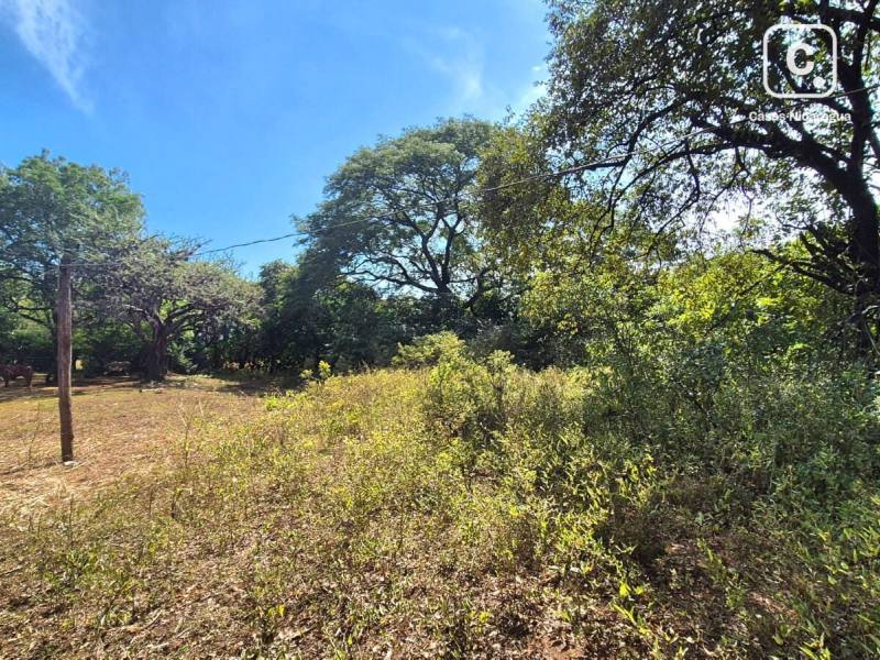 Farm for sale in Managua – 2,548,575 m²