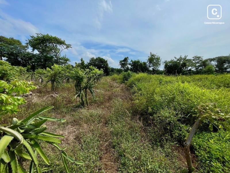 Casa en venta en Masaya – 2 hab, 44,750 m²