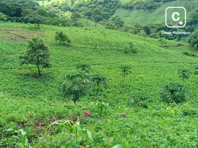 House for sale in Matagalpa – 2 beds, 80 m²