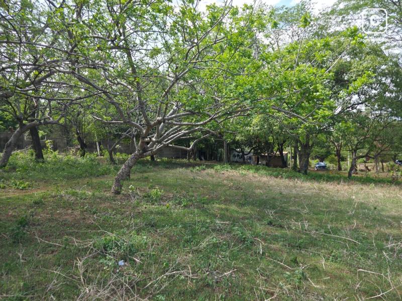 House for sale in Managua – 15,147 m²