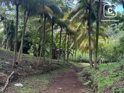 Casa en venta en Niquinohomo, Masaya