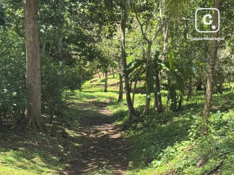 House for sale in Niquinohomo, Masaya – 83,856 m²