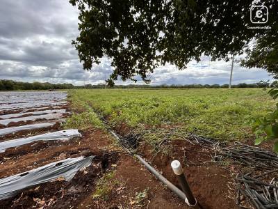 Farm for sale in Managua – 176,740 m²