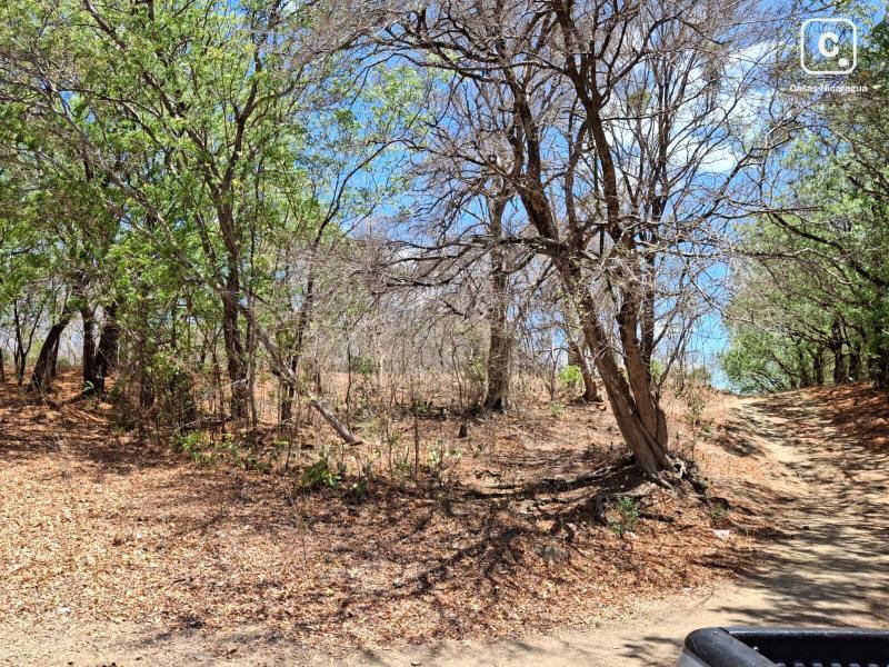 Lot for sale in Huehuete, Carazo – 49,350 m²