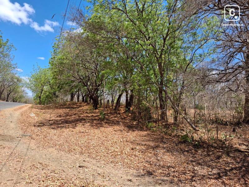 Lot for sale in Huehuete, Carazo – 49,350 m²