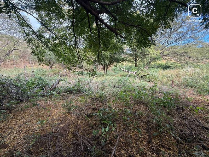 Terreno en venta en Carretera Sur, Managua – 1,388 m²