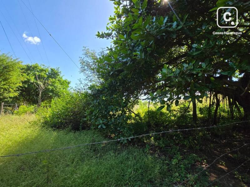 House for sale in Rivas – 73,042 m²