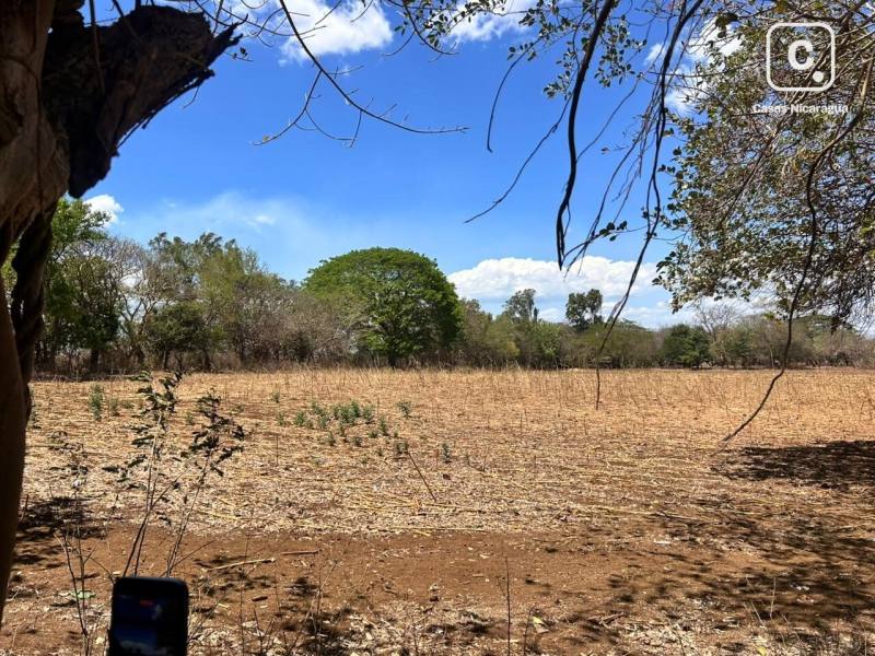 Warehouse for sale in Masaya – 108,993 m²