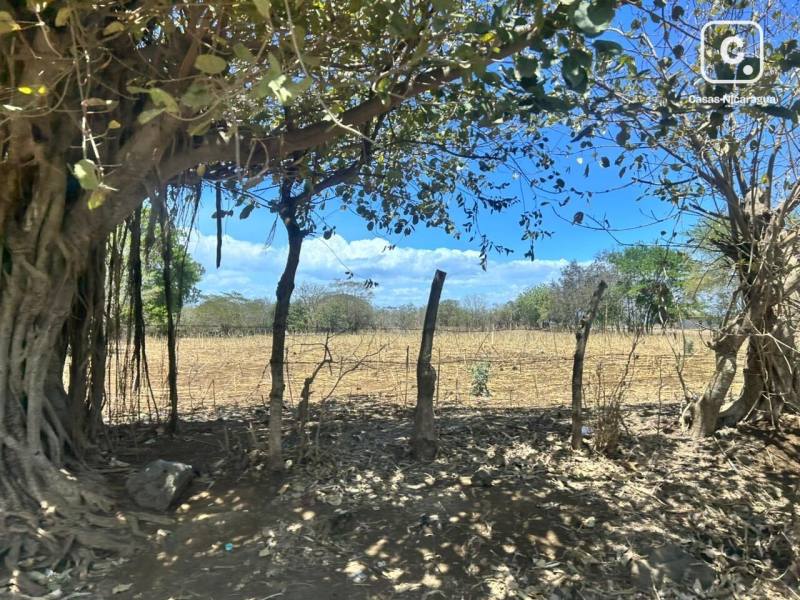 Bodega en venta en Masaya – 108,993 m²