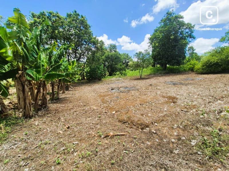 House for sale in Managua – 14,100 m²