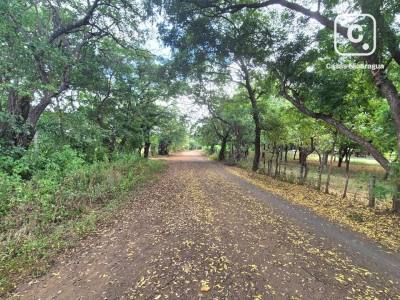 Terreno en venta en Nindirí, Masaya – 278,452 varas²