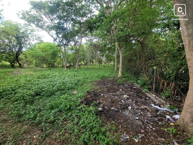 House for sale in Ticuantepe, Managua – 7,050 m²