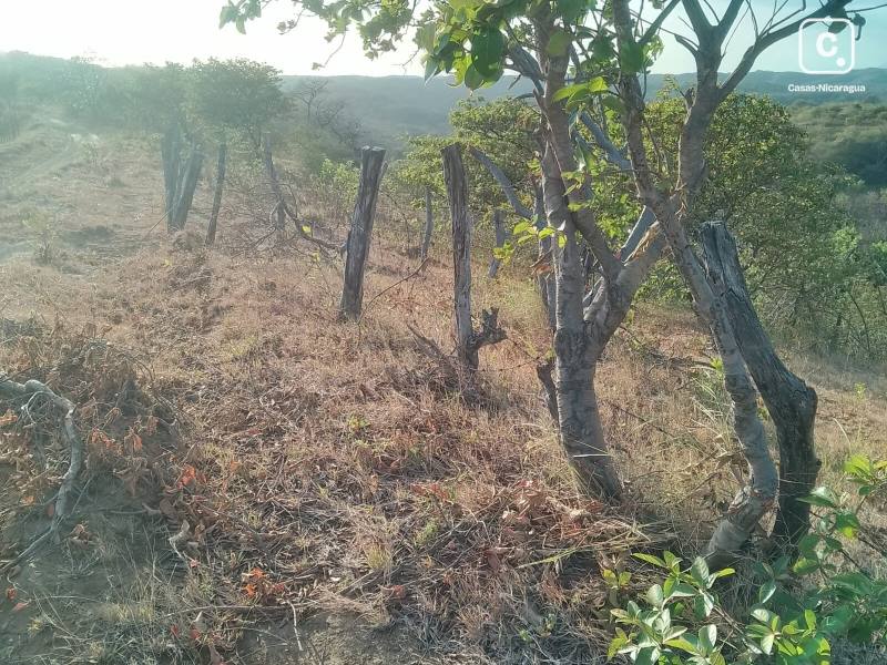 Casa en venta en Carretera Vieja a León, Managua