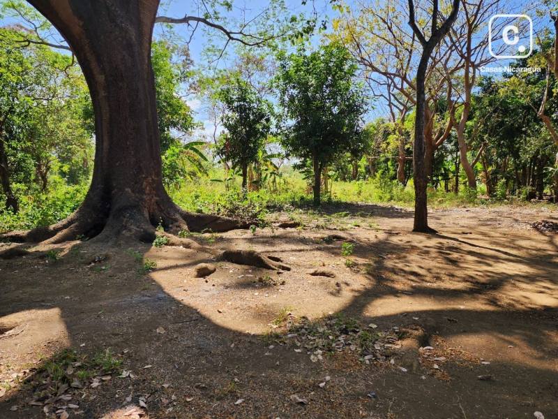 Casa en venta en Masaya