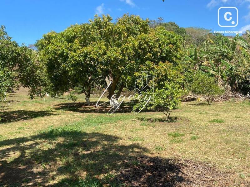 House for sale in Jinotepe, Carazo – 38,685 m²
