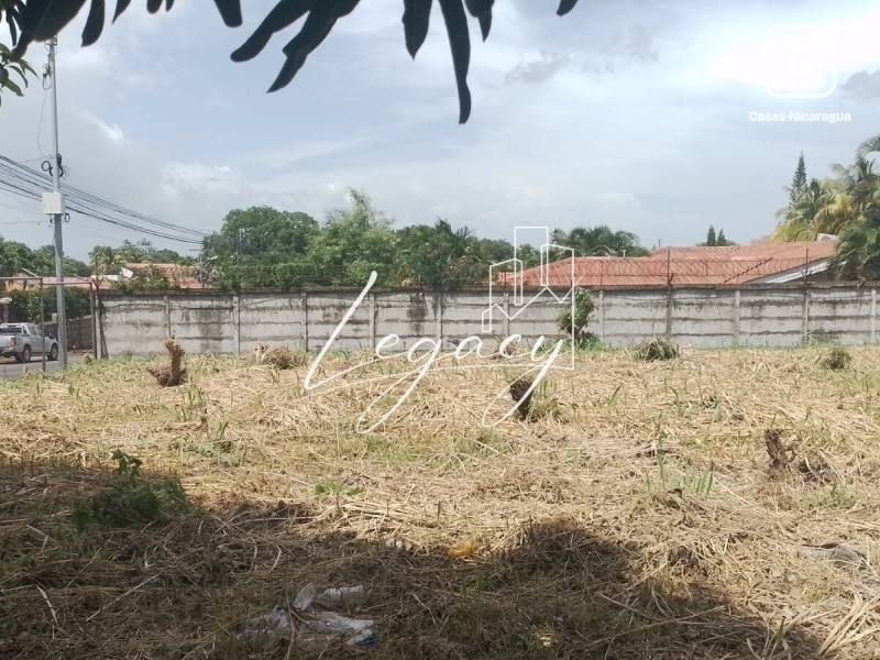 House for sale in Colonia Managua, Managua – 1,767 m²