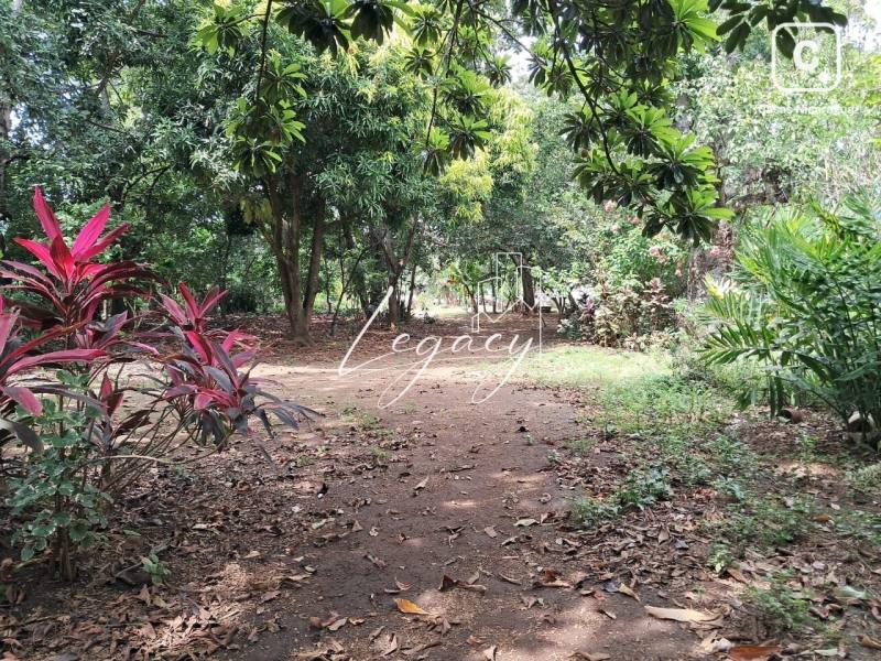 Casa en alquiler en San Isidro de Bolas, Managua – 400 m²