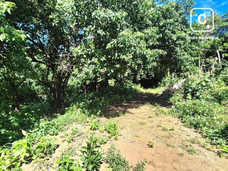 House for sale in Suburbana, Managua – 14,100 m²