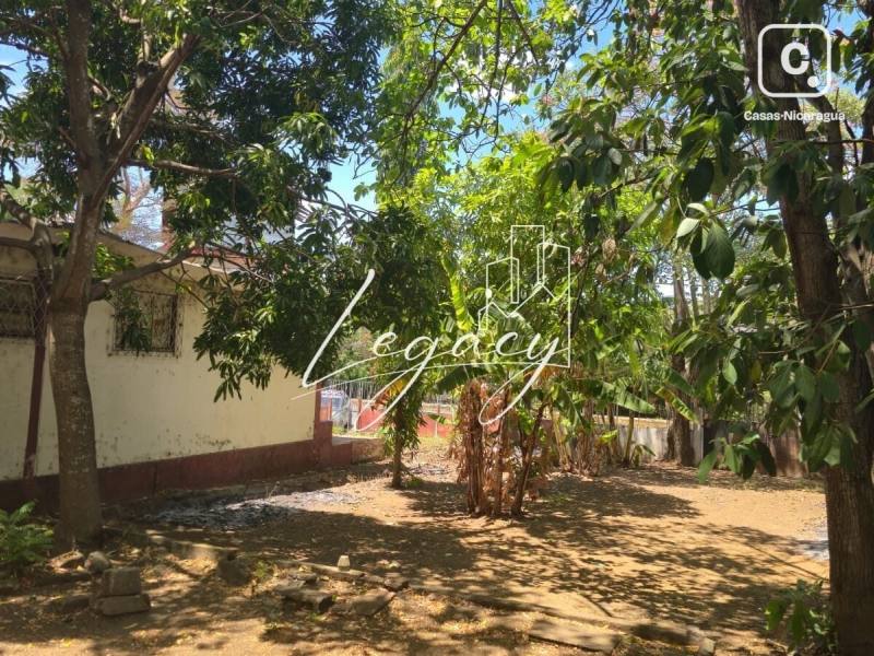 Terreno en venta en Colonia Managua, Managua – 2,529 varas²