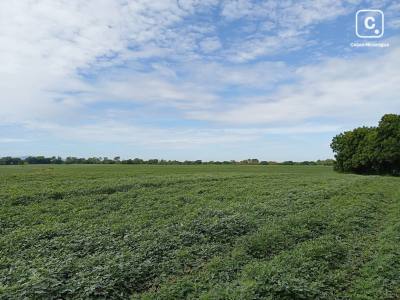 Farm for sale in Tipitapa, Managua – 541,999 m²