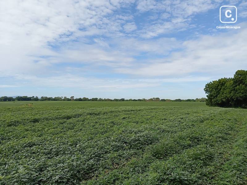 Bodega en venta en Tipitapa, Managua – 541,999 m²