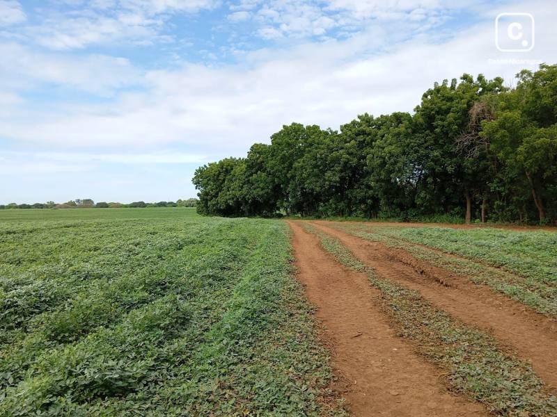 Bodega en venta en Tipitapa, Managua – 541,999 m²