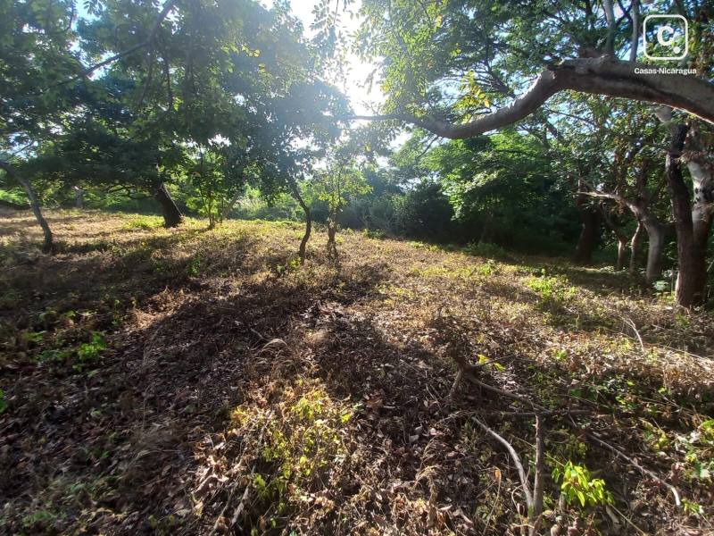 House for sale in Masaya