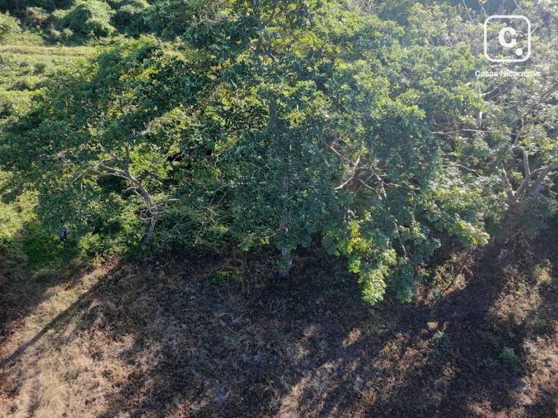 House for sale in Masaya