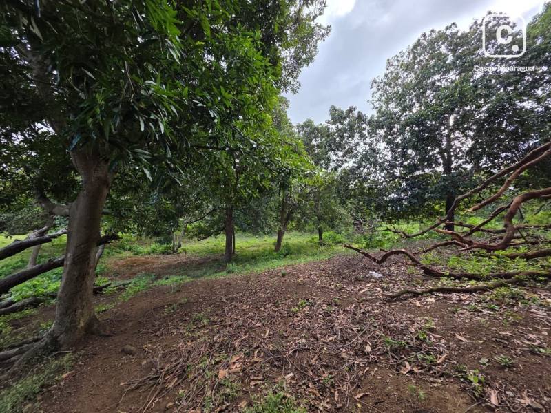 House for sale in Managua – 34,638 m²