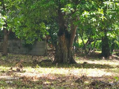 Lot for sale in Managua – 17,625 m²