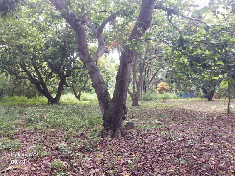 Terreno en venta en Managua – 25,225 varas²