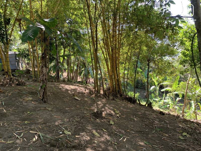 House for sale in Masaya – 28,198 m²