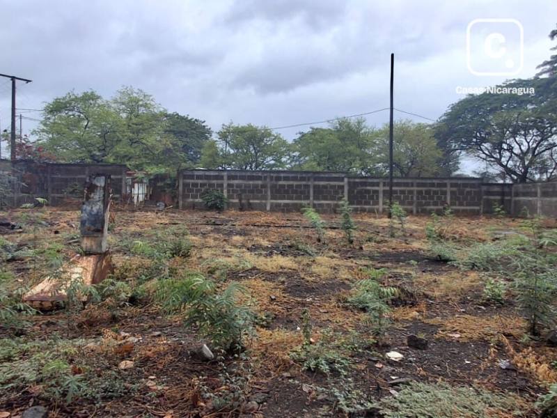 Bodega en venta en Carretera Nueva León, Managua – 735 m², US$ 558,138