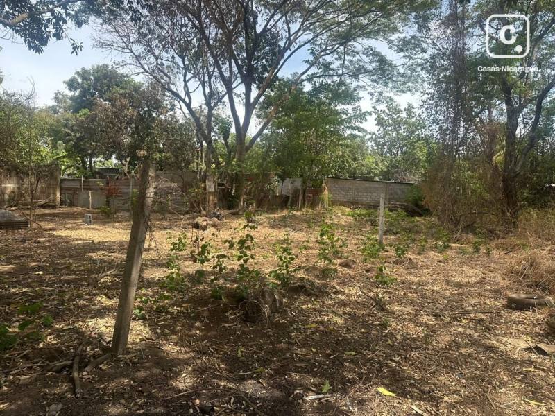 Terreno en venta en Managua – 427 m²