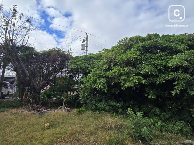 Lot for rent in Masaya – 2,206 m²